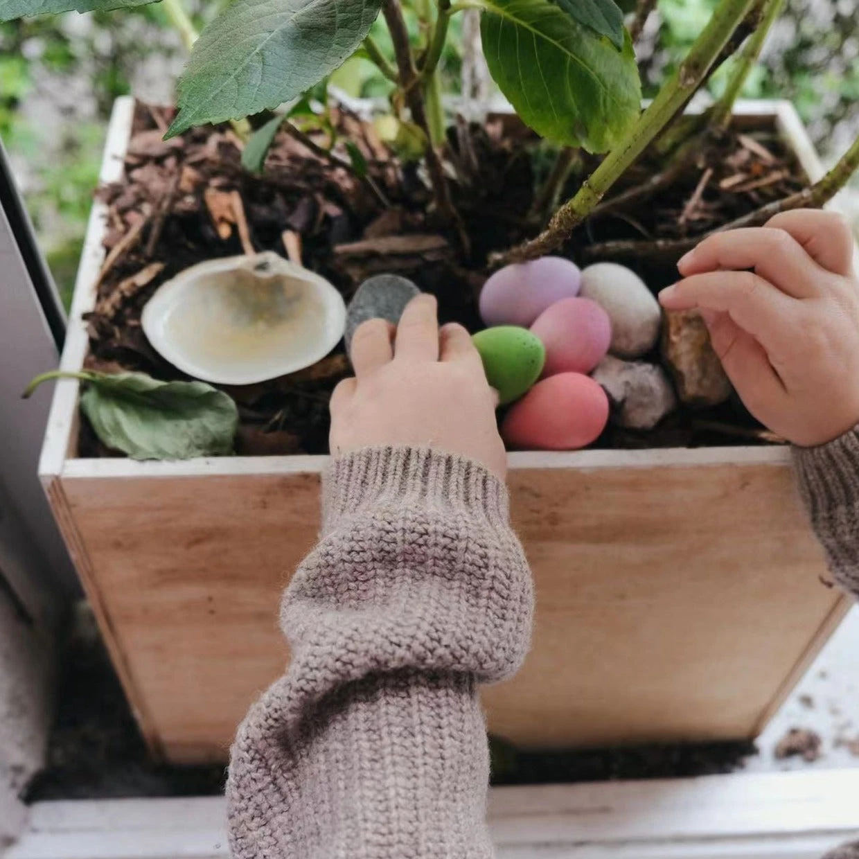 Grapat Happy Eggs 5 Grapat Happy Eggs - Image 3