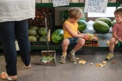 Grapat Mandala Pumpkins -Toypark Sales Art 23 252 Mandala pumkins A7R05203 Joguines Grapat scaled 1