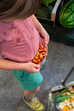 Grapat Mandala Pumpkins -Toypark Sales Art 23 252 Mandala pumkins A7R05218 Joguines Grapat scaled 1