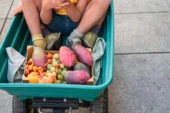 Grapat Mandala Pumpkins -Toypark Sales Art 23 252 Mandala pumkins A7R05249 Joguines Grapat scaled 1