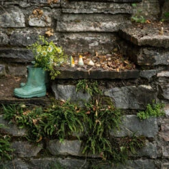 Grapat - Hooray! Wild Wild Collection -Toypark Sales Art22 236 A7R01701Hooray JoguinesGrapat