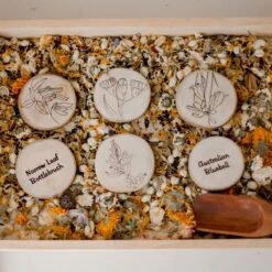 QToys Australian Flora Set Of 10