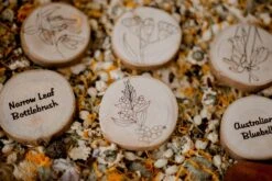 Toypark Sales -Toypark Sales IMG 8094 scaled 1