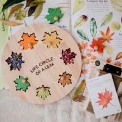 QToys Leaf Circle Of Life Puzzle