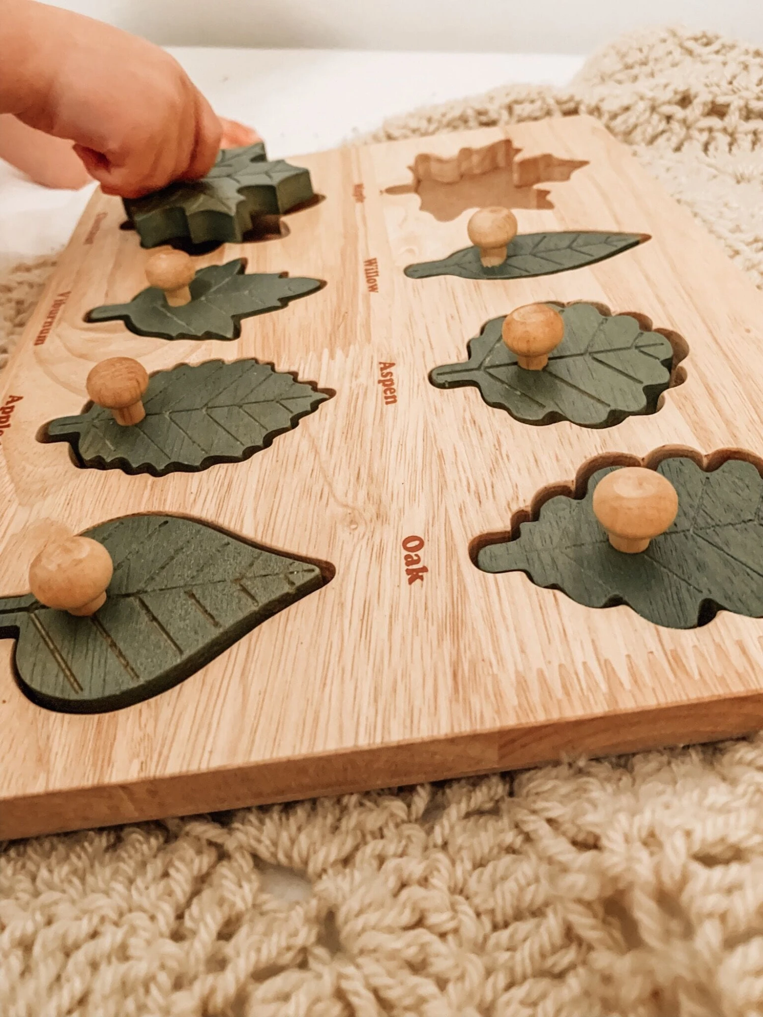 QToys Montessori Leaf Puzzle 4 QToys Montessori Leaf Puzzle - Image 2