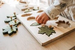 QToys Montessori Leaf Puzzle 14 QToys Montessori Leaf Puzzle -Toypark Sales QToysMontessoriLeafPuzzle 5