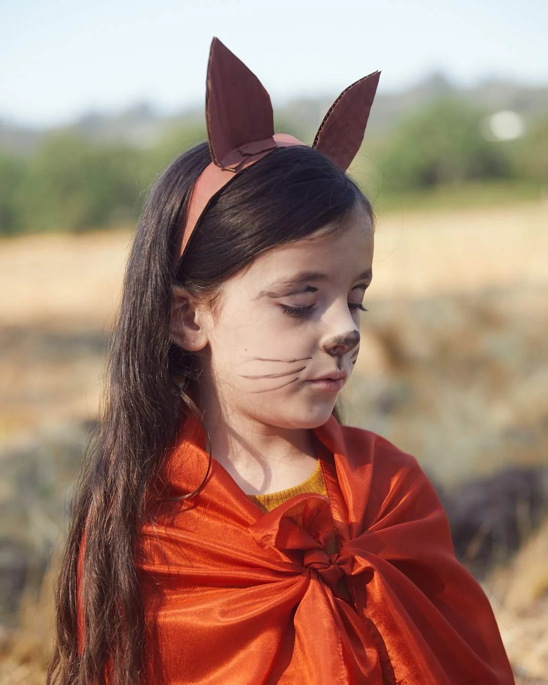 Sarah's Silks Playsilk Fox 8 Sarah's Silks Playsilk Fox - Image 6