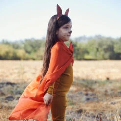 Sarah's Silks Playsilk Fox