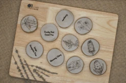 QToys Australian Flora Set Of 10 -Toypark Sales Screen Shot 2020 09 18 at 10.13.46 am