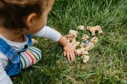 Freckled Frog My Farm Animals 7 Freckled Frog My Farm Animals -Toypark Sales TheFreckledFrogMyFarmAnimals 3