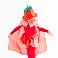 2025 New Sarah’s Silks Strawberry Hat -Toypark Sales valentineslifestyles4