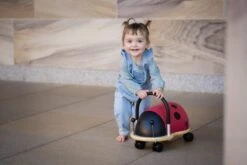 Wheely Bug Ladybug Small -Toypark Sales wheely bugs ladybug mall 6
